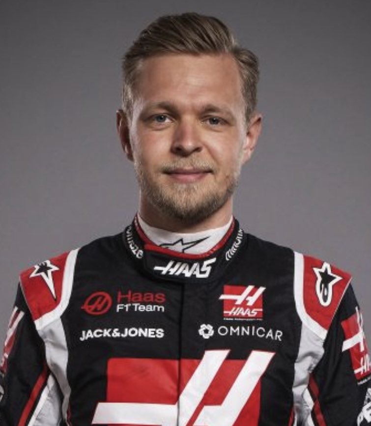 kevin magnussen- wire fox terrier