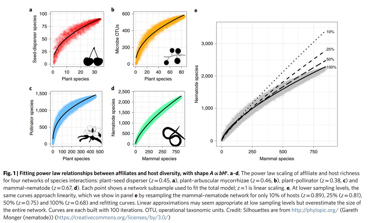 But it turns out the power law scaling is actually pretty common. That spun off into another paper, where we estimate the global diversity of mammal viruses (and a second one on the theory coming very soon). https://www.nature.com/articles/s41559-019-0910-6