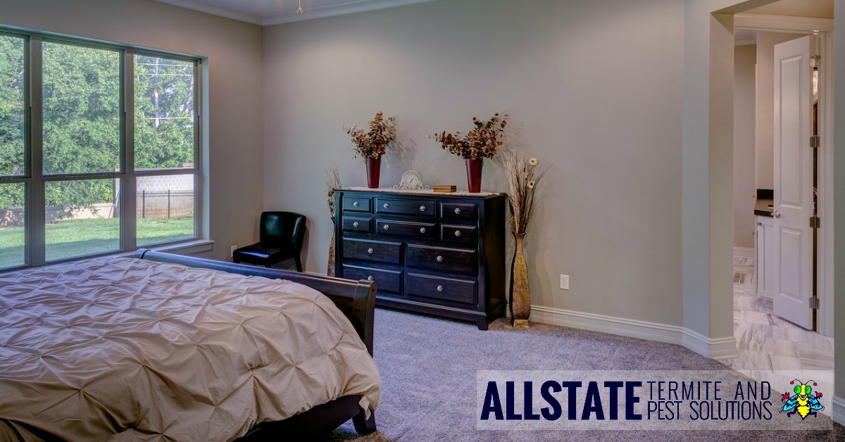 AllstatePestSol's tweet photo. Did you know?...
Bedbugs can live for several months without a blood meal. This means they can linger inside of furniture for a long time until they can feed on a human host again. https://t.co/eoS45d29bS