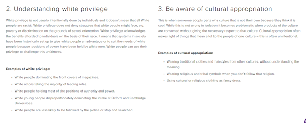 This is material used by a number of schools.(Note the v biased selection of books promoted to pupils - only the radical far-left take on "anti-racism" is promoted.)