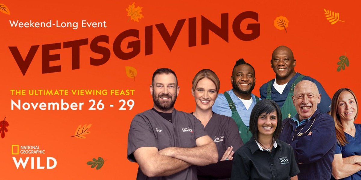 screenrant's tweet image. Dig Into @natgeowild's #Vetsgiving with This Free Virtual Cookbook!

Also, watch an exclusive clip from the season 4 finale of #SecretsoftheZoo buff.ly/35JpqLz
