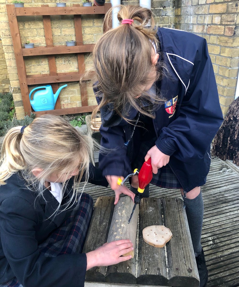 RydeSchool's tweet photo. Having fun with nature. Our Y3 and 4's had a great time building a bug hotel in their outdoor learning class.  They can't wait to see who checks in! #rydesjunior #rydeoutdoorlearning #rydeschoolstories https://t.co/r9e7Ew974g