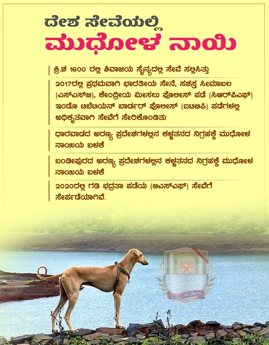 NammaMudhola's tweet photo. #MudholHound #ServeForNation https://t.co/oGKdBo5dEb