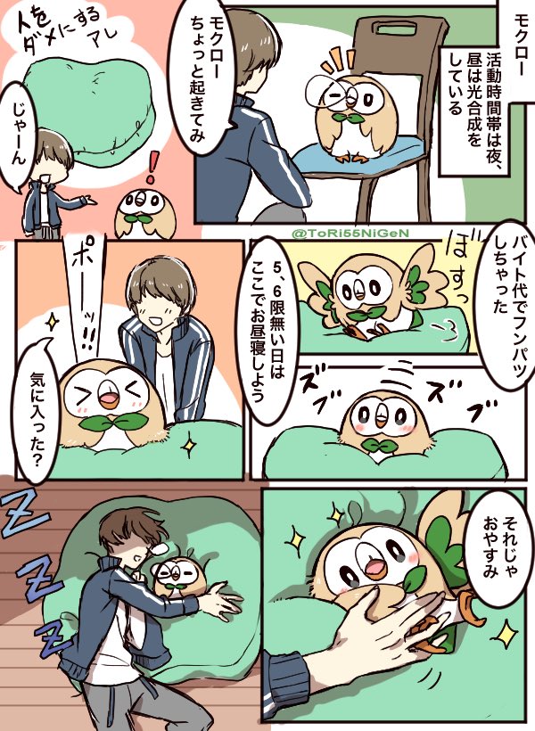 小作農ひよこ در توییتر ポケモンと生活 トレーナーとのお昼寝が大好きなモクローと社会人になる人 小作農ひよこ در توییتر ポケモンと生活 トレーナーとのお昼寝が大好きなモクローと社会人になる人