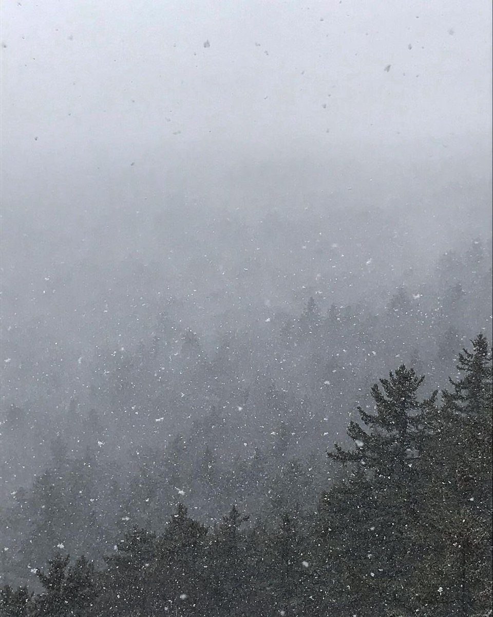 Life in the snowglobe ❄

📷 Snow falls on Devil’s Hill Trail in Groton State Forest - Lauren Pelegrino