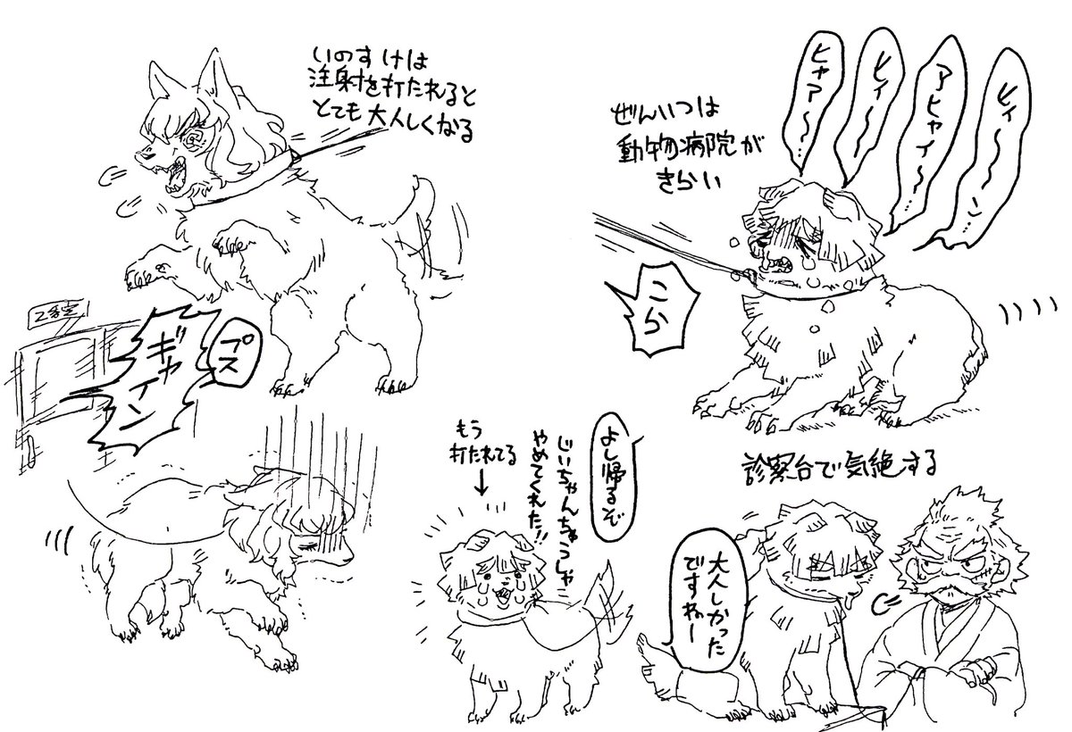 【犬の日箱】※獣化
かまぼこ犬達の予防注射
せっかくなので同期の仲間たちにしてみました
※たんじろうは一度描いているので、気付いたパターン 