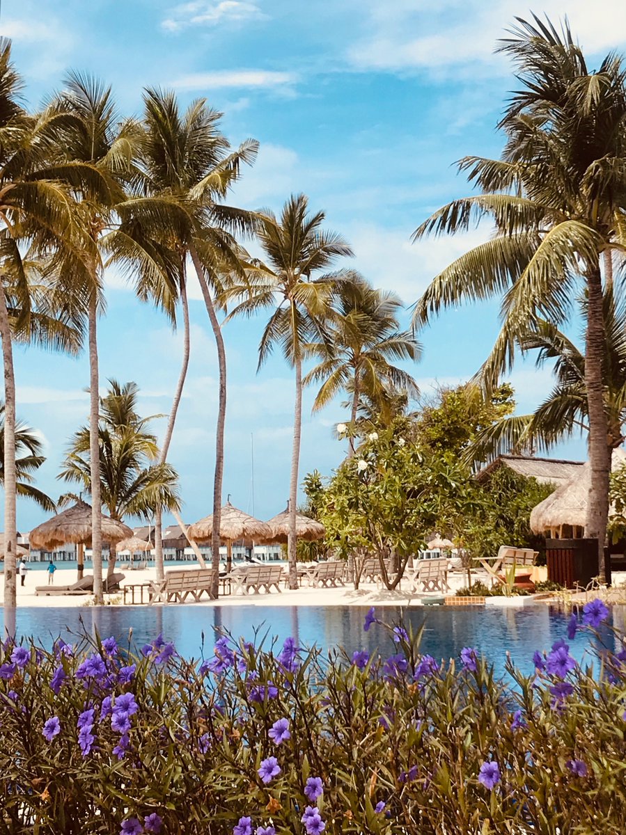 FFC_Reading's tweet photo. @EMResortSpa having the most amazing time.

 Special thanks; KD, Rao, Nirandika, Phillip, Joseph, Lee, Nazmul, Raj, Asir, Latith, Buddiman, Ahmed, Dave, Jimmy, Benny, Aseela, Dilka to name a few. So many great people.. 

You have the best team ever! https://t.co/SP6Azur0bD