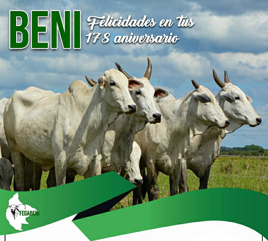 fegabeni's tweet photo. En nombre de la Federación de Ganaderos del Beni, rendimos nuestro homenaje de admiración y respeto al departamento del Beni, hoy 18 de noviembre en su 178 aniversario. 

FELICIDADES BENI!!!
#FEGABENI https://t.co/FwaU2Tzcdj