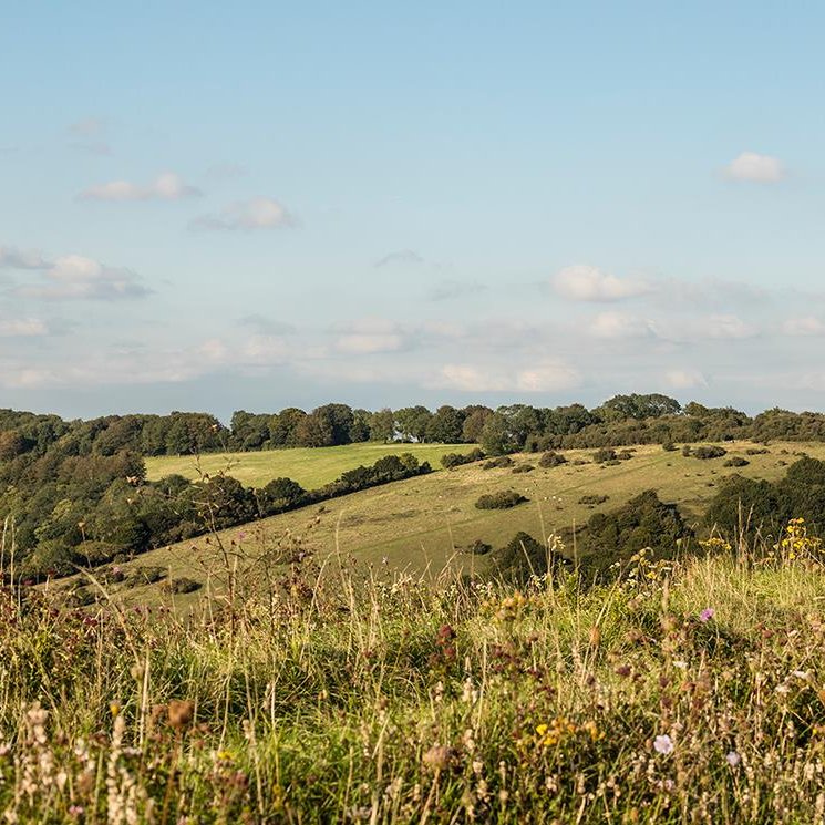Recruiting for a GP at a forward thinking GP Practice in South East Hampshire, on the edge of the South Downs

A fantastic opportunity for someone to join a really well-established and friendly, supportive GMS practice.

Find out more at phlpro.co.uk

#phlpro #nhs #GP