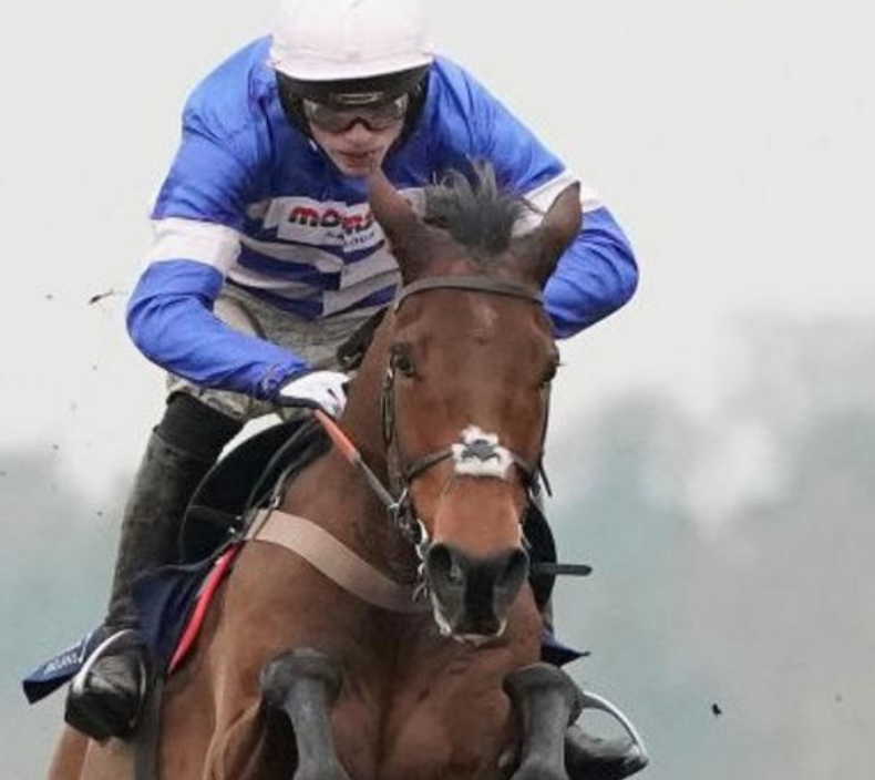 ApexAlgorithms's tweet image. Cyrname overcame doubts about the trip and track as he won the Charlie Hall Chase at Wetherby.