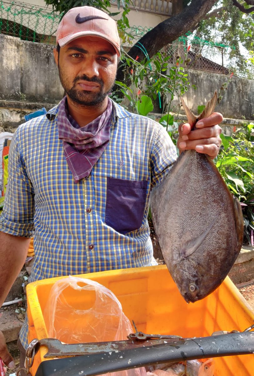 Sharvacharity's tweet photo. Name: ASIF ZBAGE
CONTACT NUMBER: 9890386717
Sells all types of fish around Pune
.
.
.
.
.
#money #necessary #lockdown #provide #covid2020 #lockdown #sharvafoundation #orders #fishseller #fishandmeat #event #crunch #moneycrunch #ngo #supportus #pune #punekar #helpothers https://t.co/PtaOuny6tc