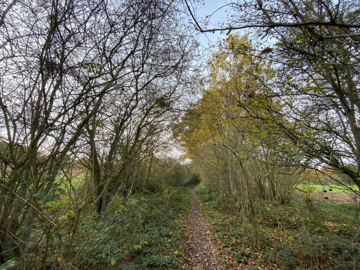 And I is also for  #IronLatchNatureReserve. Can we tell you a secret? We didn't know this was here! But we went to explore and take photos and we'll definitely be back for more! Who can tell us more about this place? https://www.essexwt.org.uk/nature-reserves/iron-latch