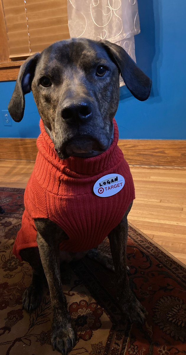 ajsbinder's tweet photo. @Target Any need for a Director of Pawperations? https://t.co/t6QJBTJAv5