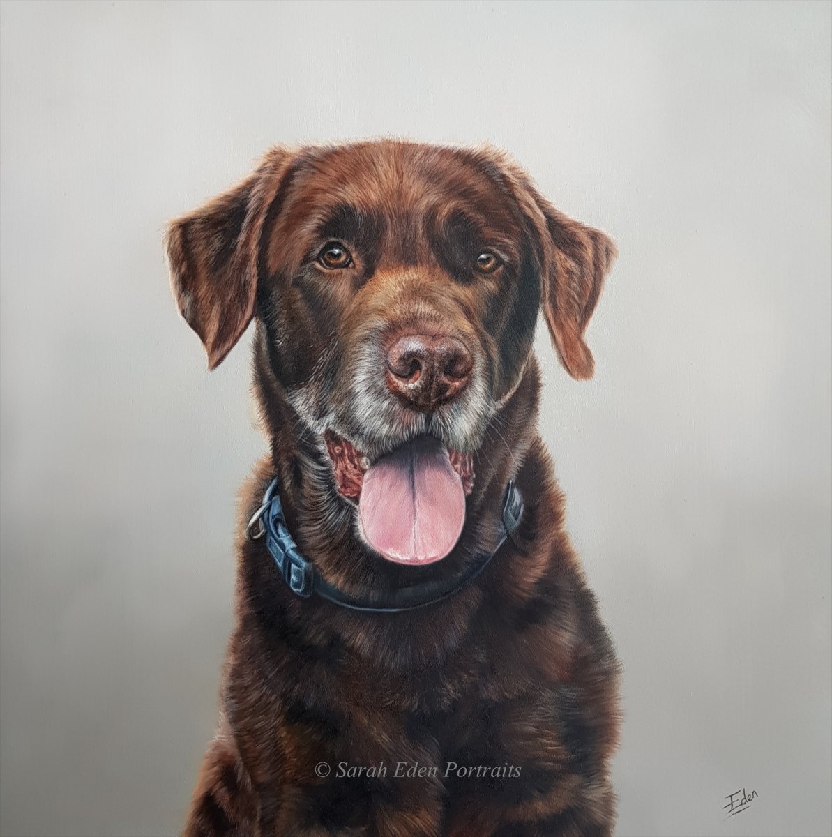 My latest commission is all finished :-) Oil on board 16 x 16'

#chocolatelabrador #labrador #labradors #labradorportrait #dogportrait #animalartist #dogpainting #christmasgift #custompainting