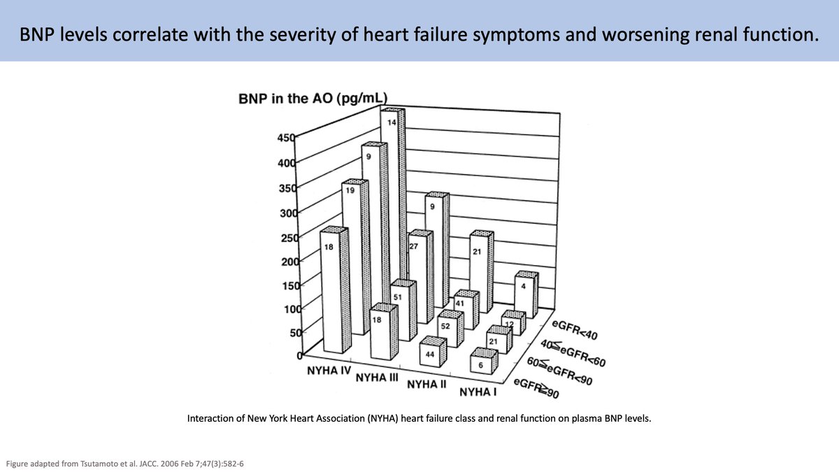 4/As ventricular overload , so does transcription of BNP, which may explain why  BNP levels correlate with worsening heart failure symptoms.Transcription takes time though, so BNP may initially be low in acute events like flash pulmonary edema. https://pubmed.ncbi.nlm.nih.gov/16291870/ 