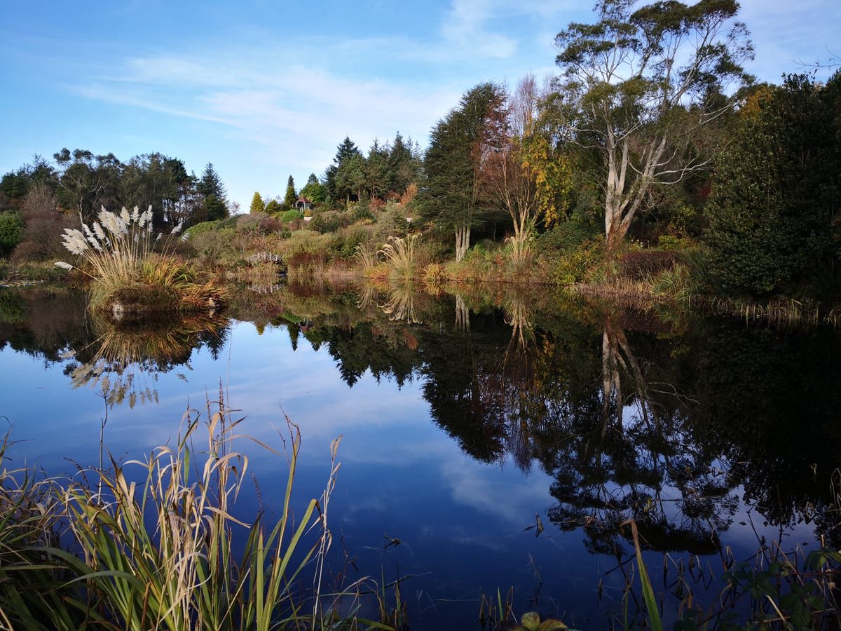 ￼🤩Glenwhan Gardens’ Son Reveals Role In 2020’s The Secret Garden
Read the full story here👉 bit.ly/2UAsnaM
#SecretGarden #GlenwhanGardens #VisitSouthWestScotland