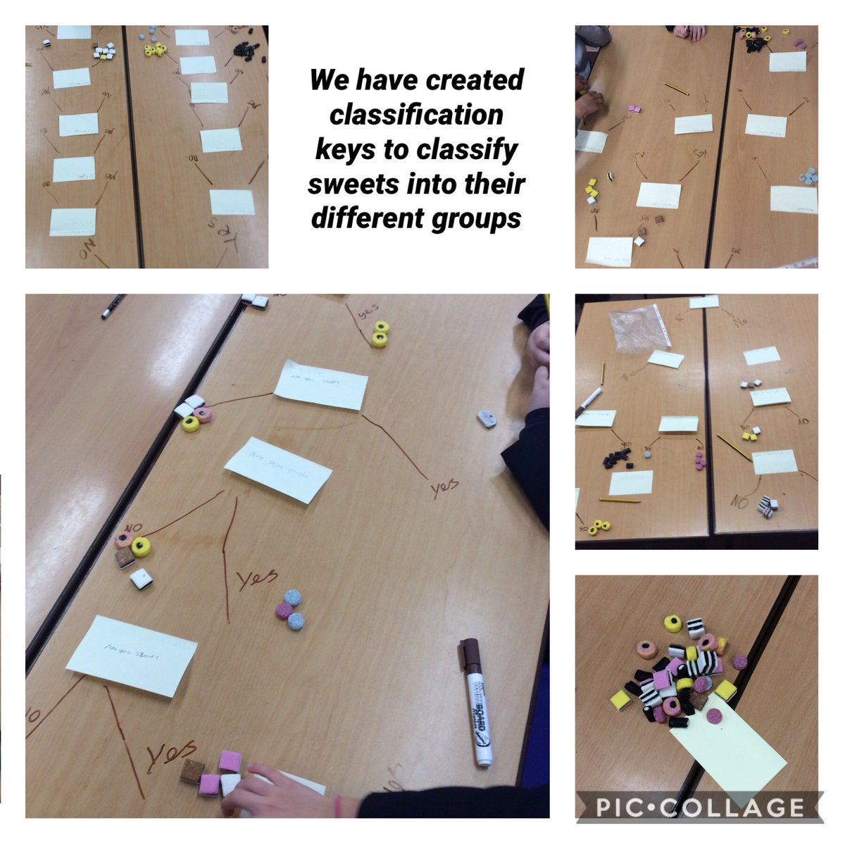 We have spent a lovely afternoon using creating classification keys to group and classify sweets. It smells lovely in the classroom now. <a href="/National_Junior/">The National Church of England Junior School</a>