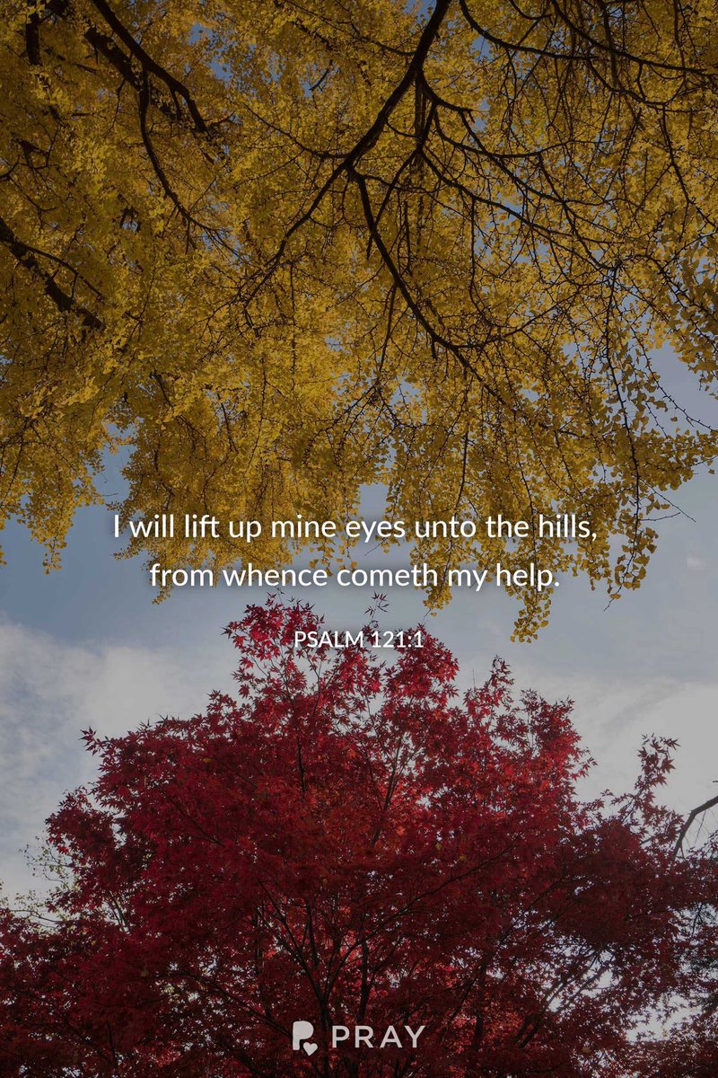 Download the Pray app for original daily devotionals and more.
link.pray.com/QRlQeGu4vbb