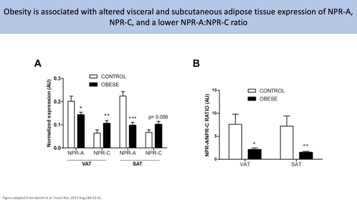 10/ NPR-CInitial hypotheses focused on the disproportionate expression of NPR-C which is abundant in adipose tissue. Obesity and insulin resistance are correlated with a  NPR-A:NPR-C ratio which may  BNP clearance and  BNP action. https://pubmed.ncbi.nlm.nih.gov/28651075/  