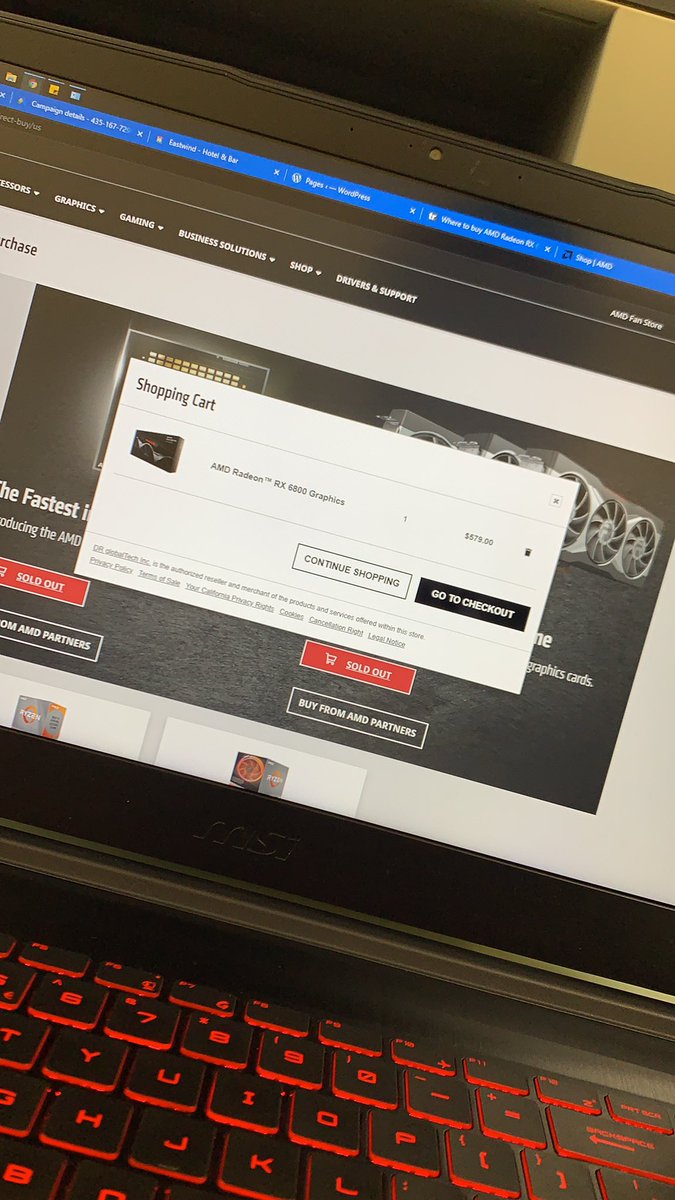 Valorant_Chad's tweet photo. @Radeon is this how you mock me? #soldout #sad #amd https://t.co/PBQuxQ8h6P