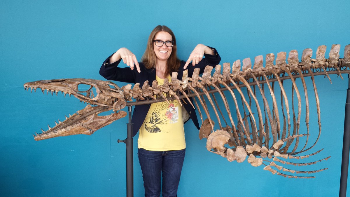 And I think it turned out really well! Here's spousal human for scale, Cap'n Chuck is named after her father who can wait till 2021 before we come home for thanksgiving, thank you very much.The skeleton is now on public display in a museum in Shanghai, China. Wish I could visit