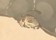 目ぇ見開き猫。 