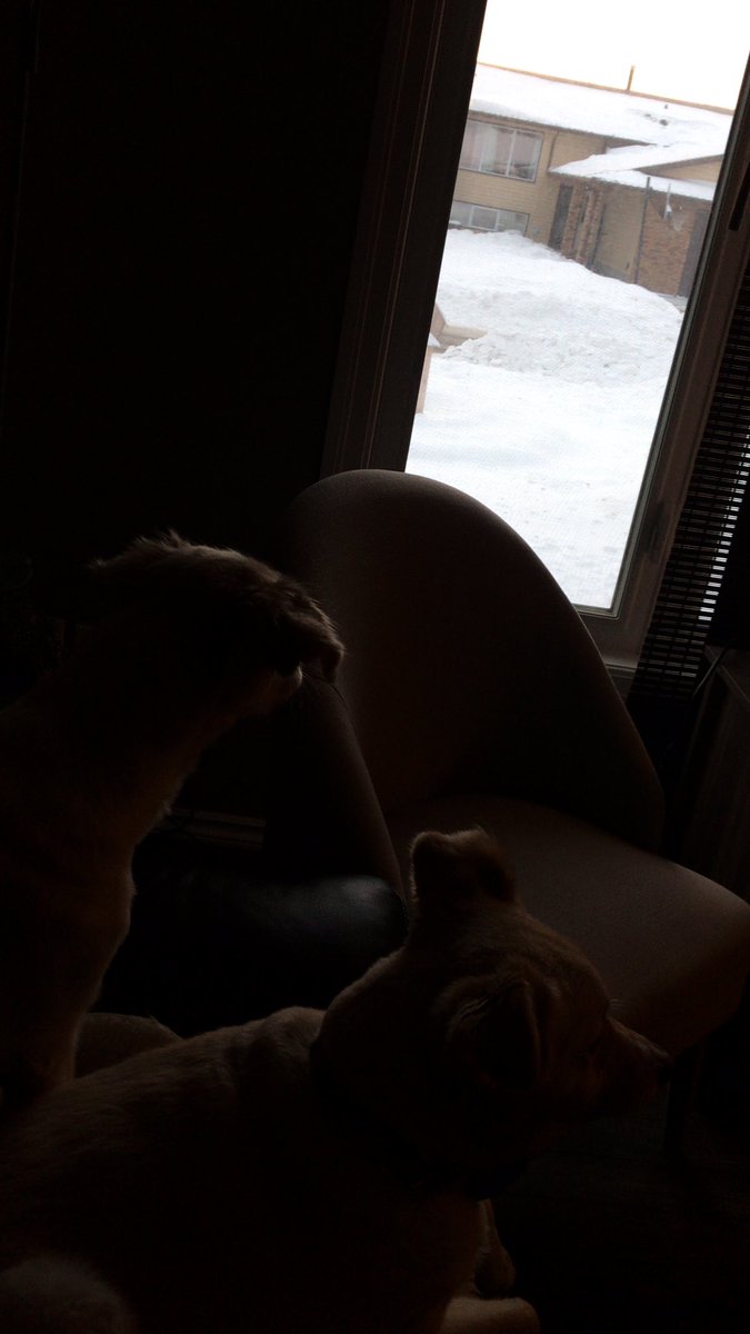 rogerapage's tweet image. The #DirtyB’s too ...