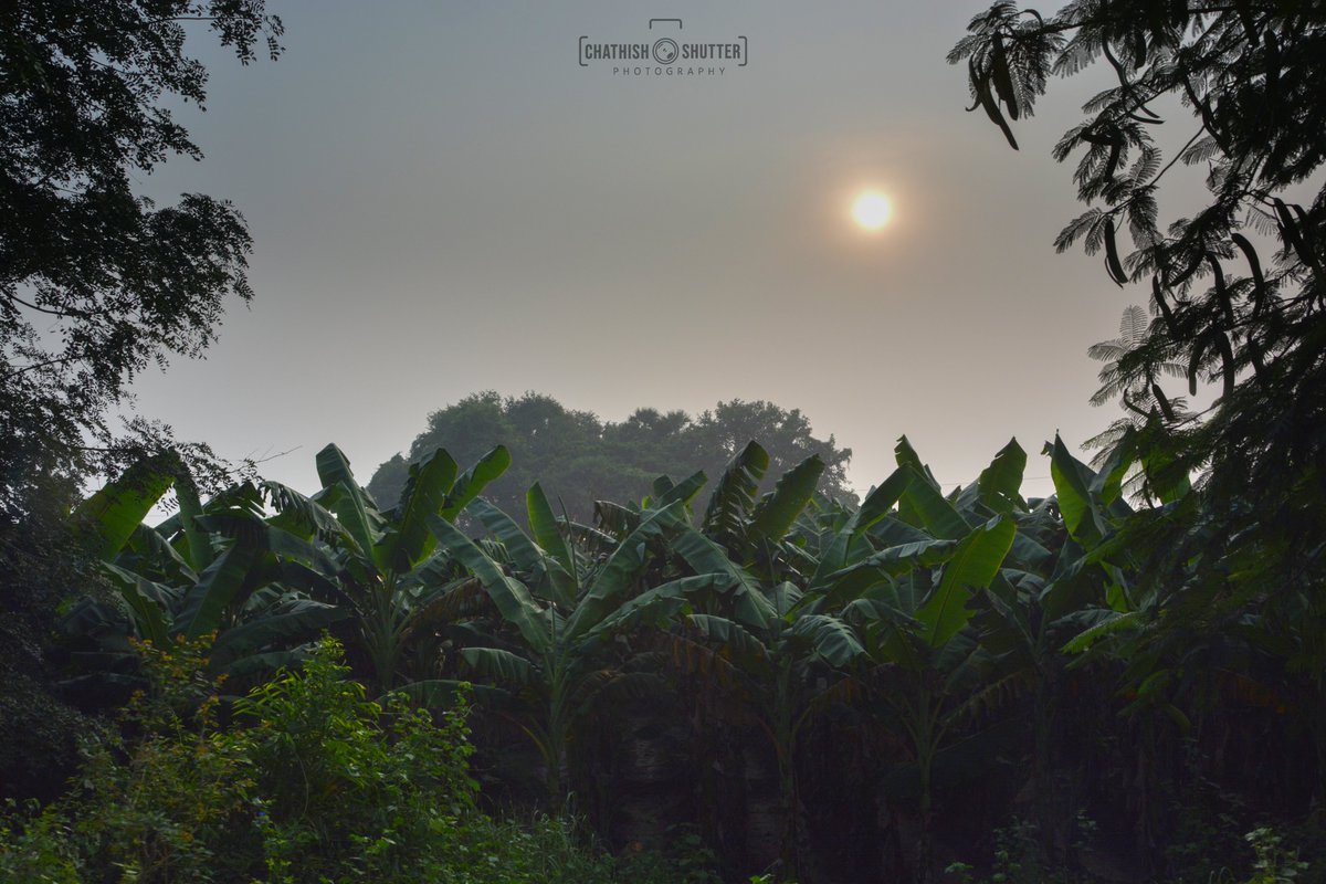 chathishsathiya's tweet photo. Farming
#farming #photography #PhotographyIsArt #sunrise #chathishwaran #chathishshutter #Madurai #photographer https://t.co/WAfO1oRGjb