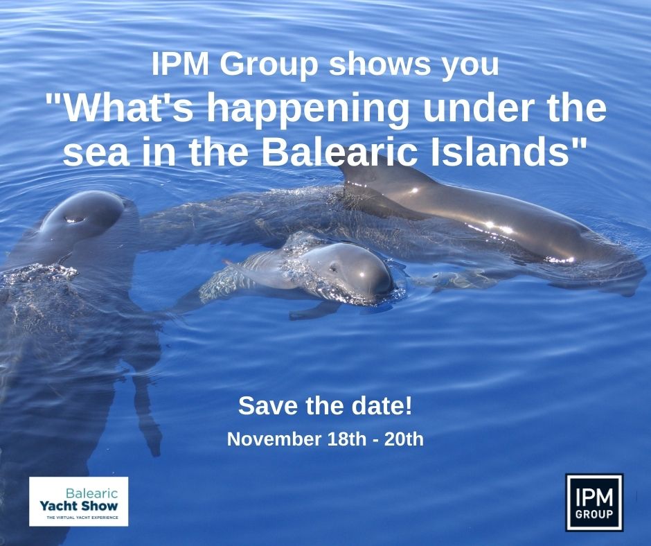 marinaportibiza's tweet photo. At the stand of @marina_ibiza at the @BalearicShow we have an interesting talk about the cetaceans and sea turtles of the Balearic Islands. Don’t miss it! https://t.co/1u27NvkMDH

#MarinaPortIbiza #IPMGroup #BalearicYachtShow #BYS2020 #sealife #sealover https://t.co/KGAapL7Ym3