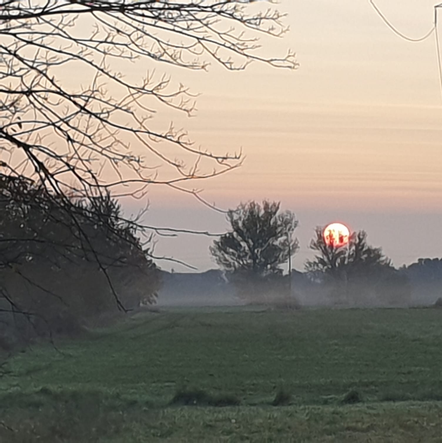 Parma Welcome Il Bosco Spaggiari Un Assembramento Di Alberi Contro La Cementificazione E L Inquinamento E L Idea Di Una Famiglia Parmigiana Che Ha Creato A San Prospero A Pochi Km
