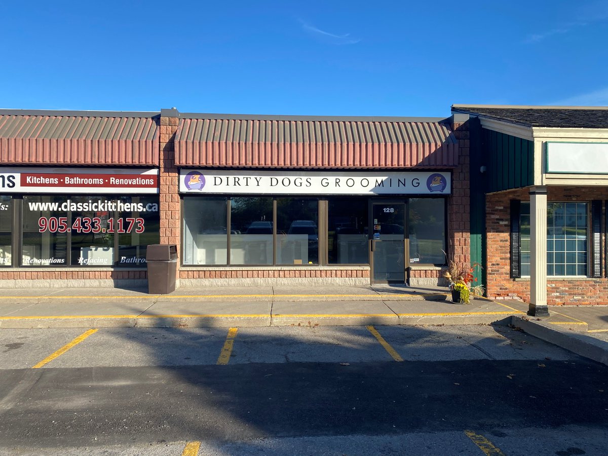 Dirty Dogs Grooming storefront illuminated signage completed in Whitby #Calibre_Signs #storefrontsigns #whitbysignage #durhamregionsigncompany
