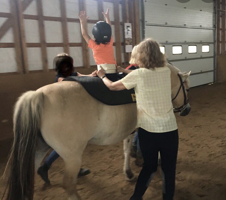 Brilliant 3 days on my Equine Facilitated Therapy 3rd module, so many exciting opportunities and progress happening in NI for AHP’s in this area. Now if covid could please go away so I can get on with the practical sessions! 🐴 #AHP #equinefacilitatedphysio
