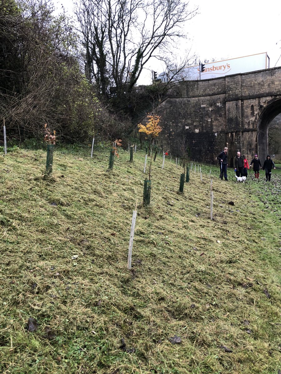 MonktonCoCur's tweet photo. Year nine planting a tree each #wildmonkton #monktonyear9 #woodlandtrust #500trees #monktonSustainablity https://t.co/Q2KlpwyU11
