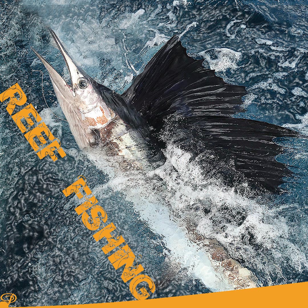 TParklander's tweet image. Cold fronts in November typically result in red-hot offshore fishing on shallow reefs off the South Florida coast. @hookedonswaters 

To learn more about what happens to the reefs when water cools down, read our recent article here: theparklander.com/2020/11/15/coo…