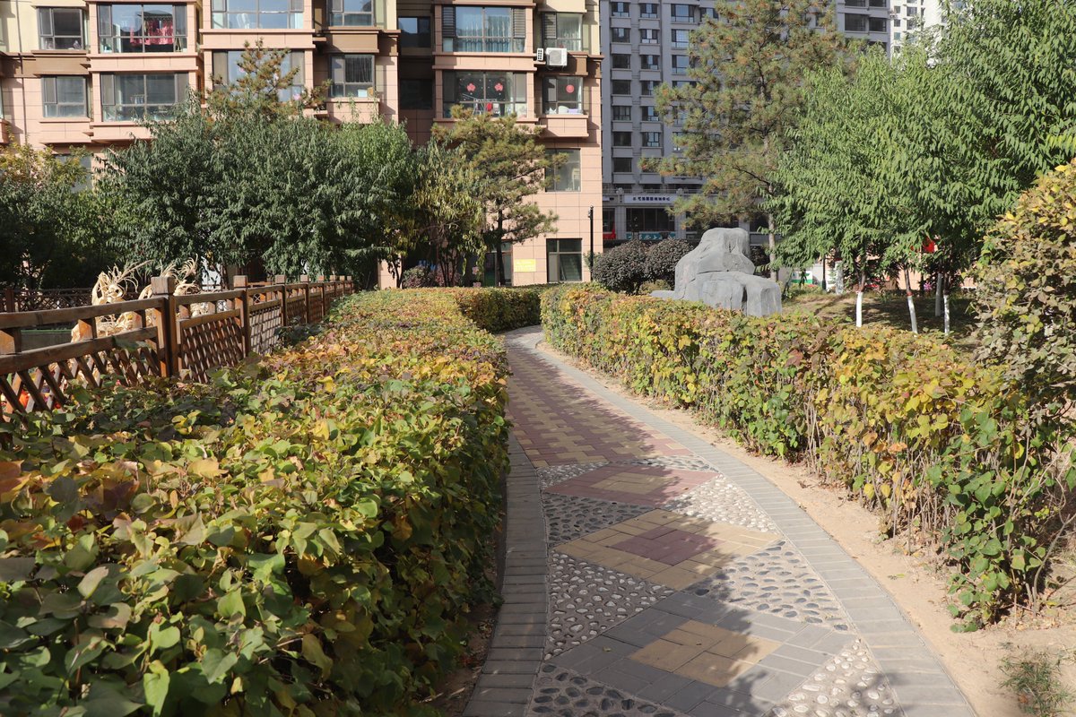 snafisaanjum's tweet photo. @UNHABITAT recommends an average of 45-50%
of urban land to be allocated as streets & open
public spaces, that exactly contemplated in the urban neighborhoods of #DatongChina. The types of #publicspaces varied based on the need & preferences of neighbourhood residents.
#China2019 https://t.co/M2CrSmkMiO