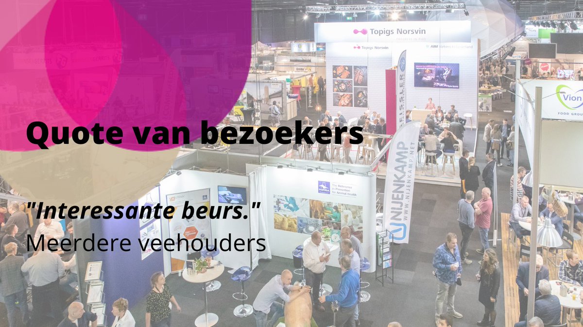 Dutch Pork Expo tweet media