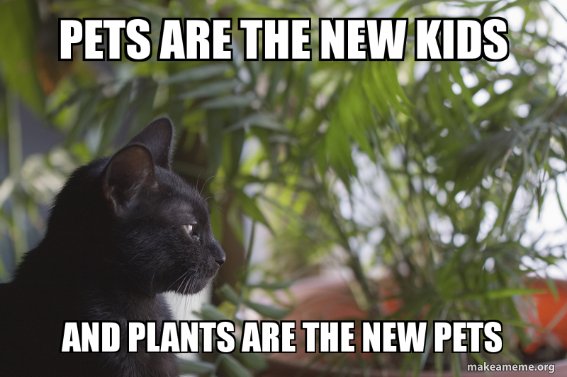 lesmildred's tweet photo. This funny meme reminded me of last #cx20 class. It is indeed true that humans find in pets a way to fulfill the need of both, being loved and giving affection. https://t.co/67zkRMRuuN