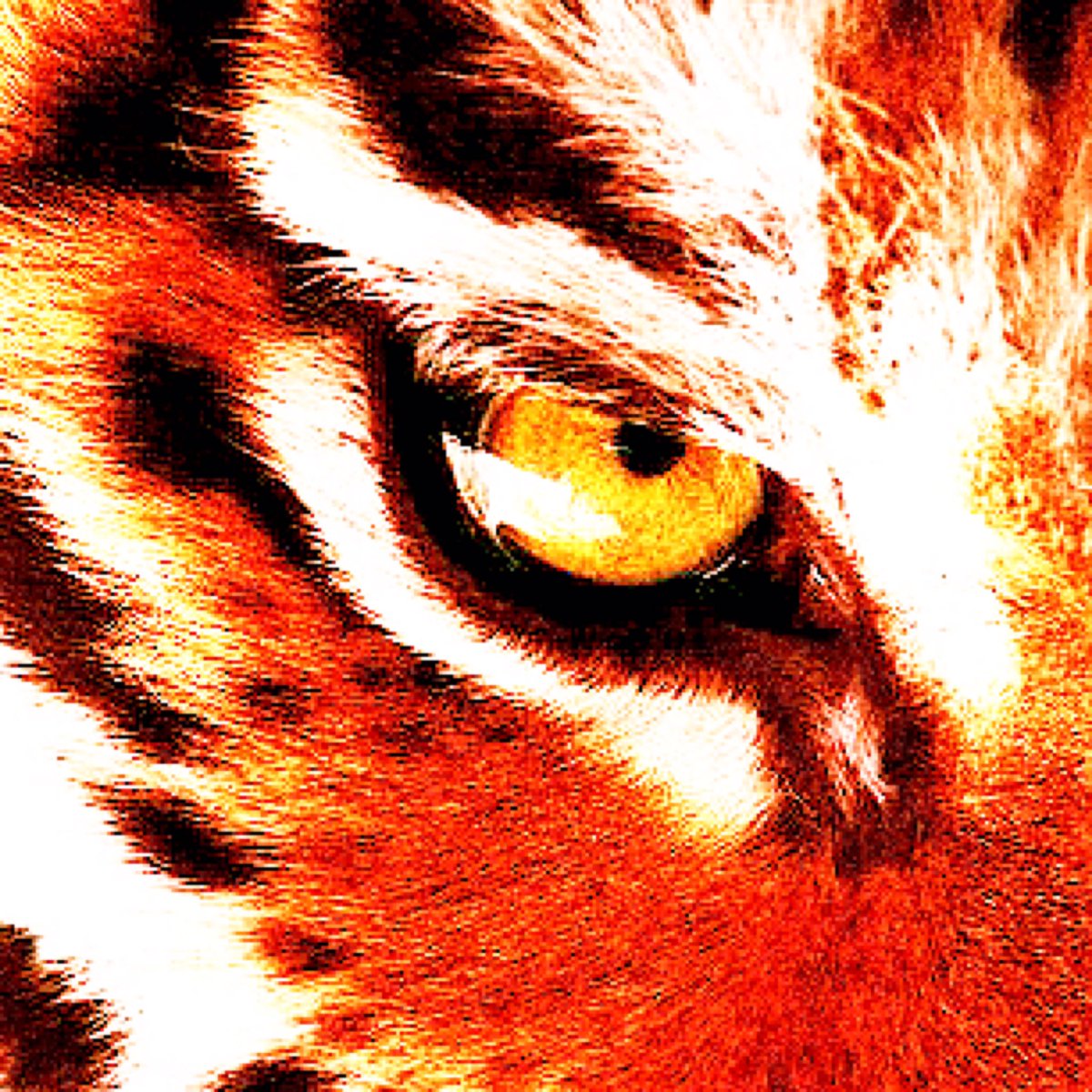 𓈒  ᱸ ₊𓏻̶ߪ  x̸  𓈒 ᱸ ₊𓎆̳╸💥 、$MINER ↬ ลฟตท ߪ𓏻̶₊ ᱸ  𓈒