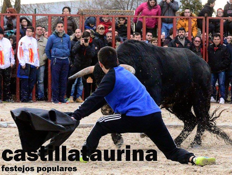 castillataurina's tweet photo. No importa lo extenso del camino, quien pisa firme marca su huella.
.
.
@castillataurina #castillataurina #toros #sialostoros #taurinos #somostaurinos #festejospopulares #touradas #8k #bousalcarreroficial #vianadecega https://t.co/6HzYKHPjMc