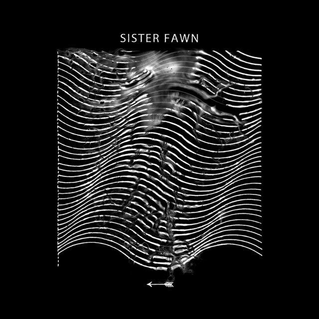 87/108: Sister Fawn (with Full Of Hell)The whole atmosphere is crazy, really dark and weighty. Crumbling Ore is for sure the main highlight of this project, with a mix of Harsh Noise, Dark Ambient and Dark Jazz. A pretty stunning record.