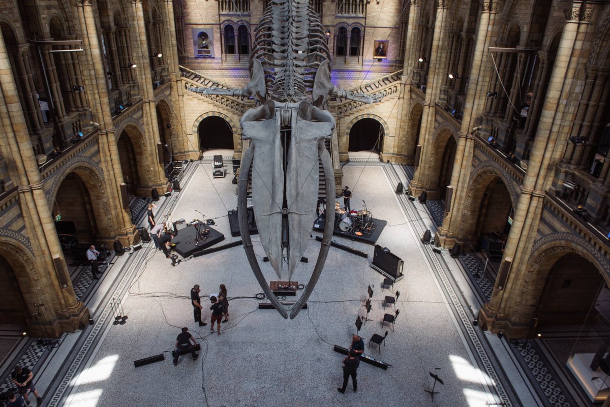 tpimagazine's tweet image. Dermot Kennedy teams up with Paul Mescal, a band of socially distanced musicians, a string quartet and a choir to perform a one-off, multistage, live performance in @NHM_London – broadcast live to music fans in lockdown. TPi’s Jacob Waite reports.

🔗: tpimagazine.com/dermot-kennedy…