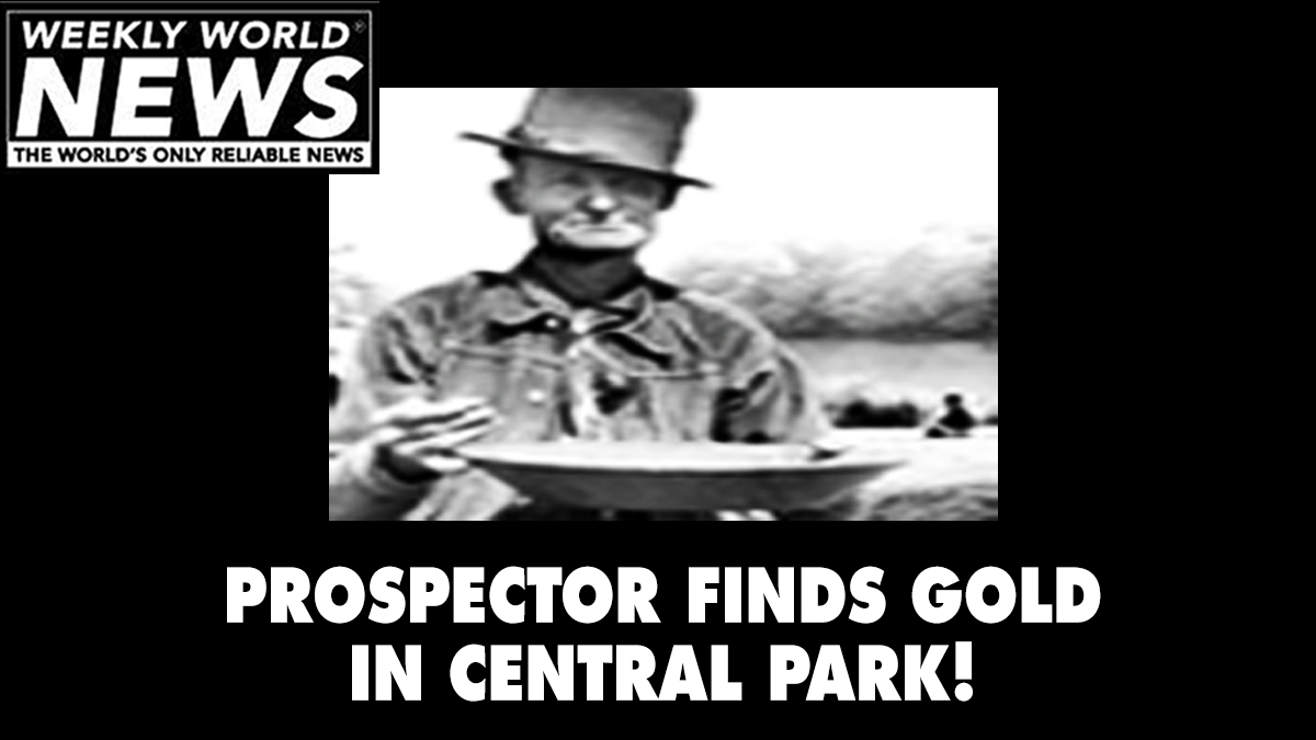weeklyworldnews's tweet photo. Big discovery by a reincarnated prospector! #weeklyworldnews #centralpark #prospector #findinggold #prospectingforgold https://t.co/pz2JJpchtl