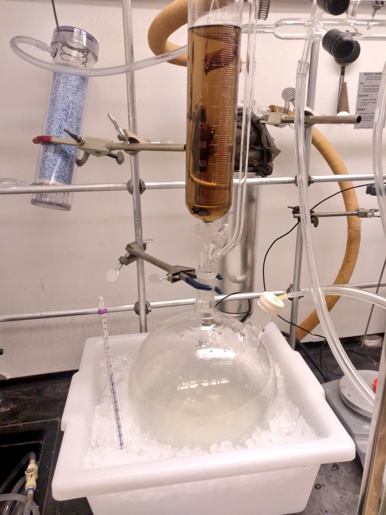 Lara Cala tweet media