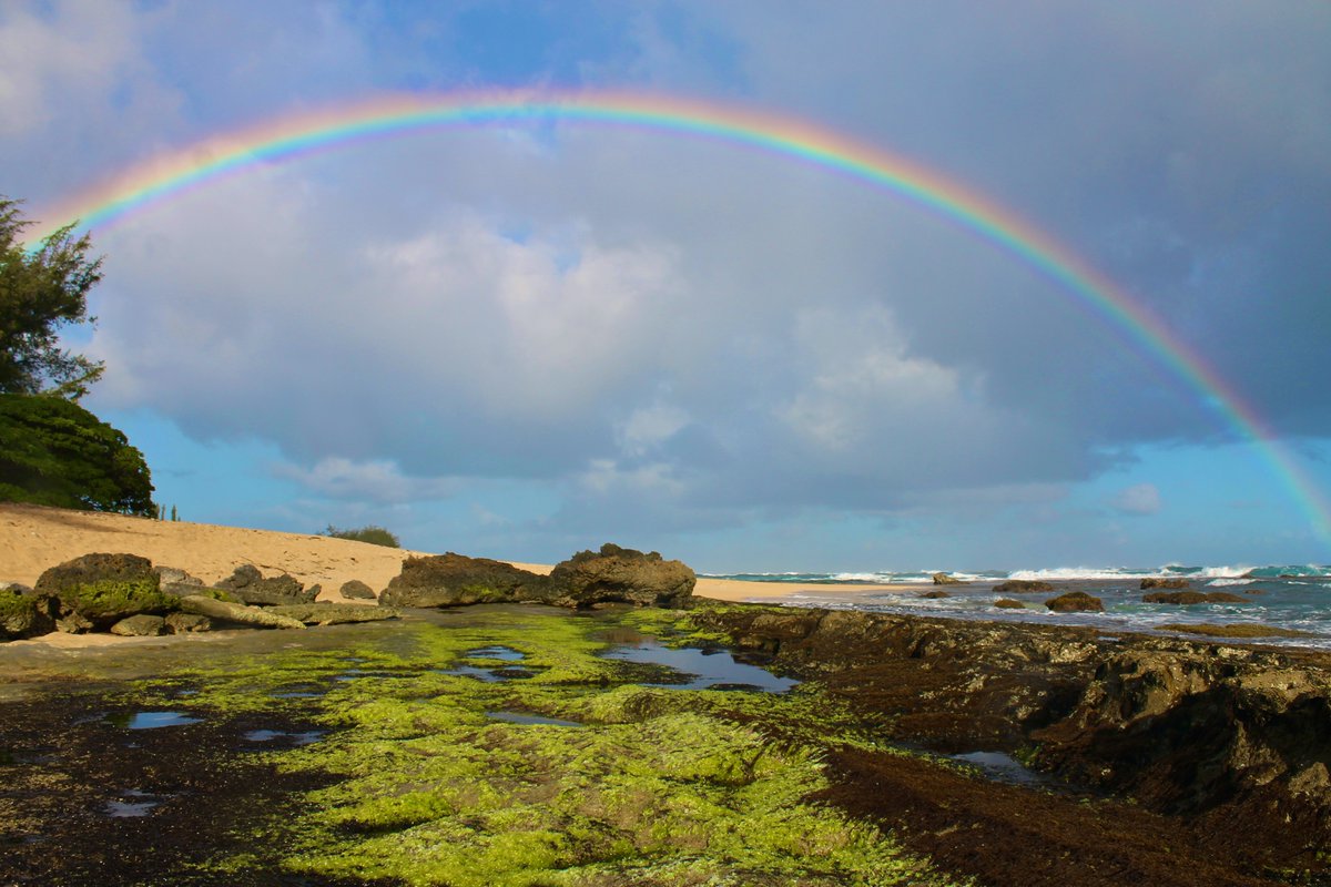 We are so grateful for rainbows that remind us that there will always be beauty after a storm.
What are you grateful for?