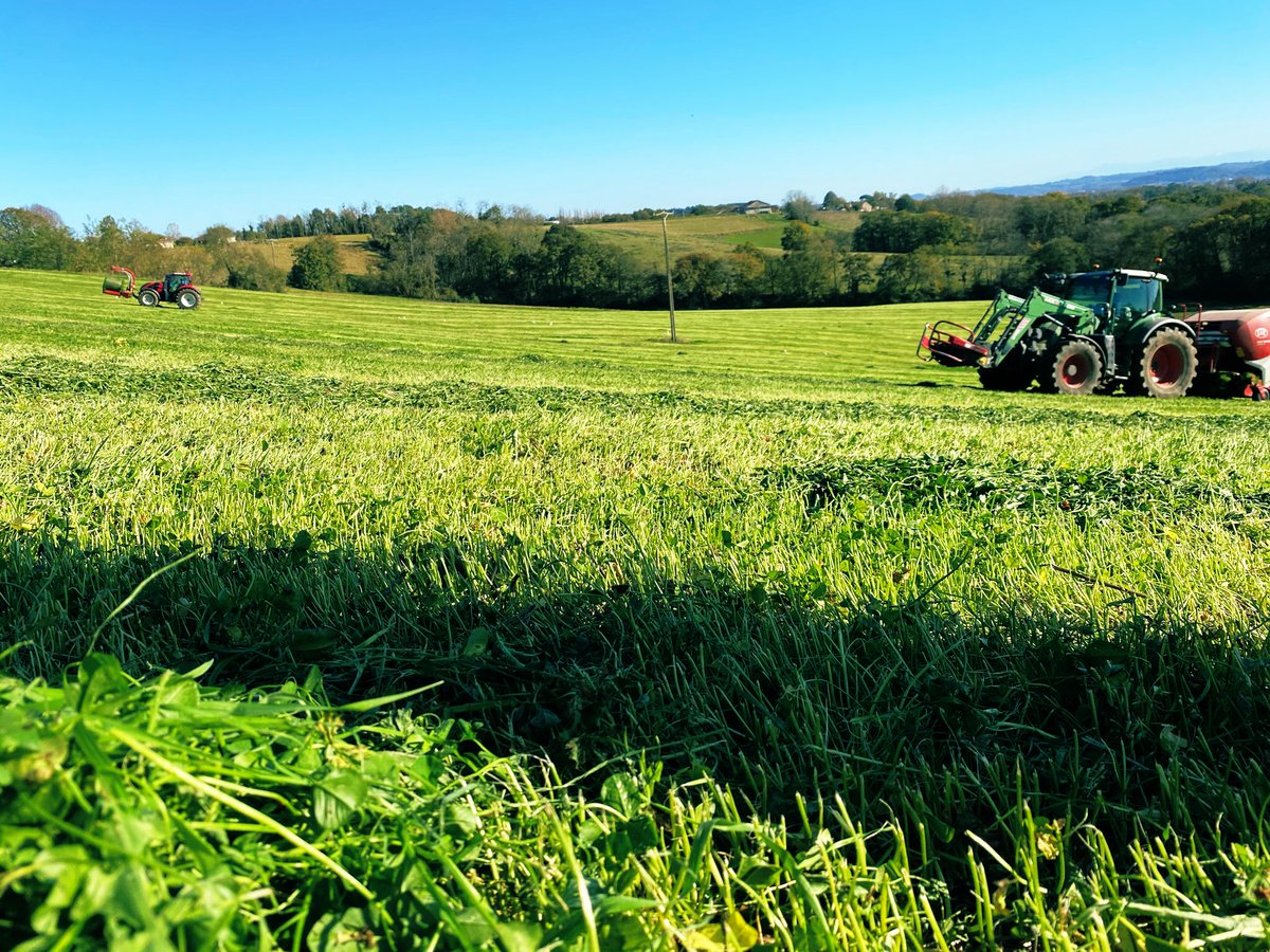 BonaHoun640's tweet image. 44 boules de #Trèfle prennent la direction des #pyrénéesatlantiques 
2000 🐑 basques vont goûter au #CouvertVégétal des Landes 
#SolidaritéPaysanne #laitbasco-landais #A2C ☘️🥛