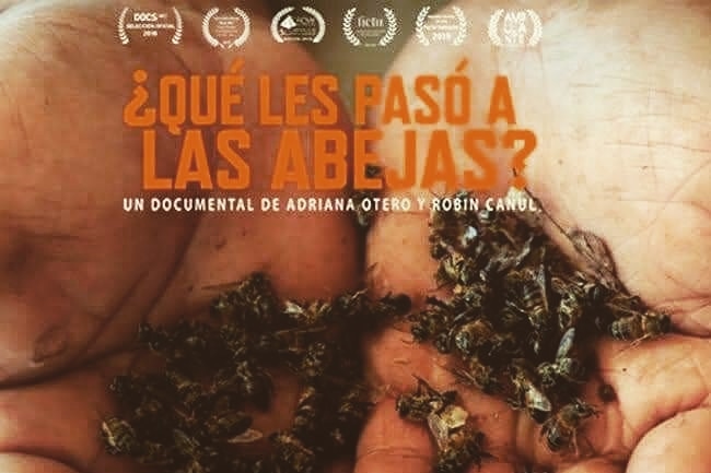 AmeqaMexico's tweet photo. ¿Te perdiste el cine debate en el Encuentro Estudiantil? ¿Quieres volver a ver este gran documental?
Aquí una oportunidad de verlo gratuitamente el próximo jueves. ¡No se lo pierdan!
https://t.co/sKS8atBtz6

⚠️🐝 https://t.co/Iy1MySZeyZ