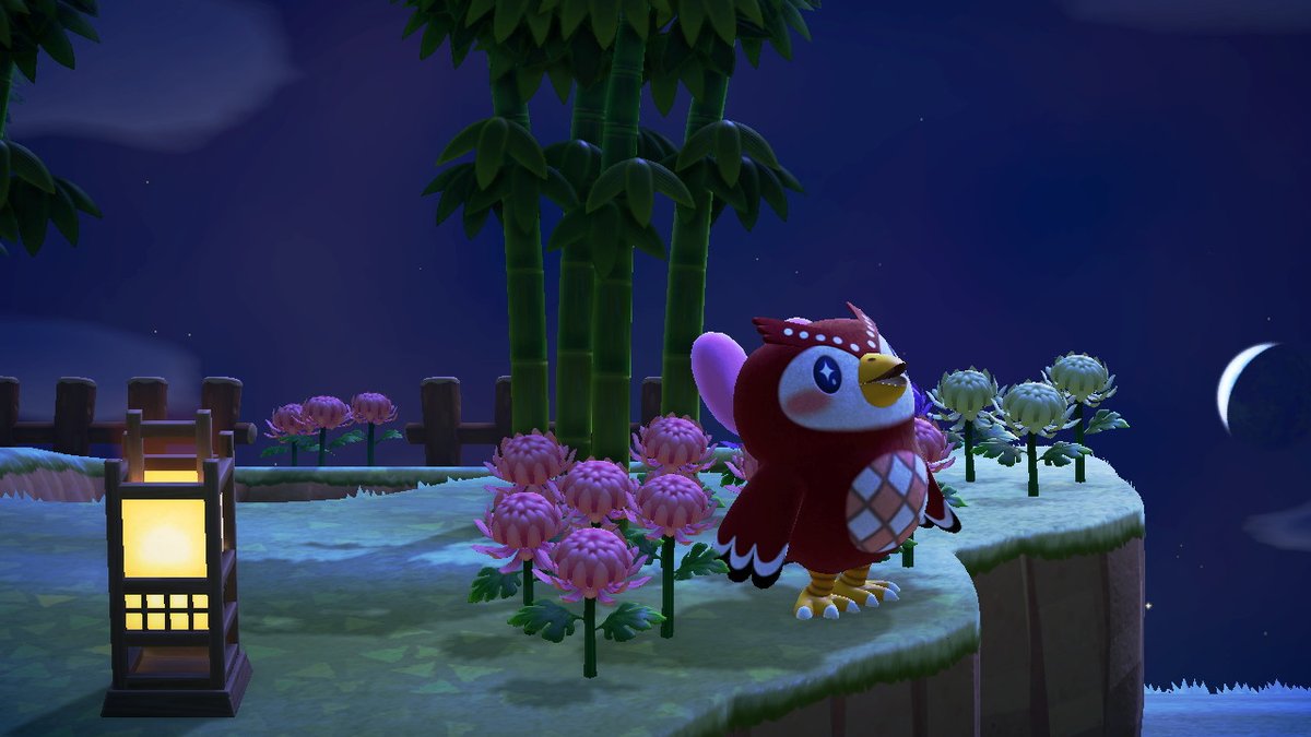 yeoboseyo's tweet photo. #AnimalCrossing #ACNH #NintendoSwitch https://t.co/auS5gAyed7