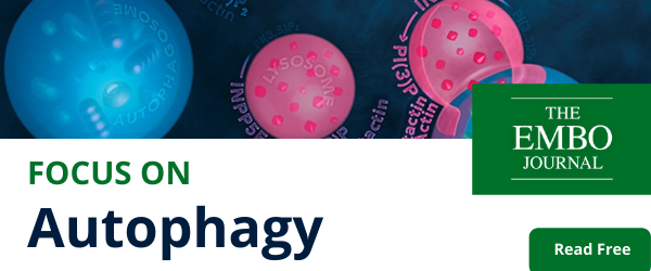 The EMBO Journal tweet media