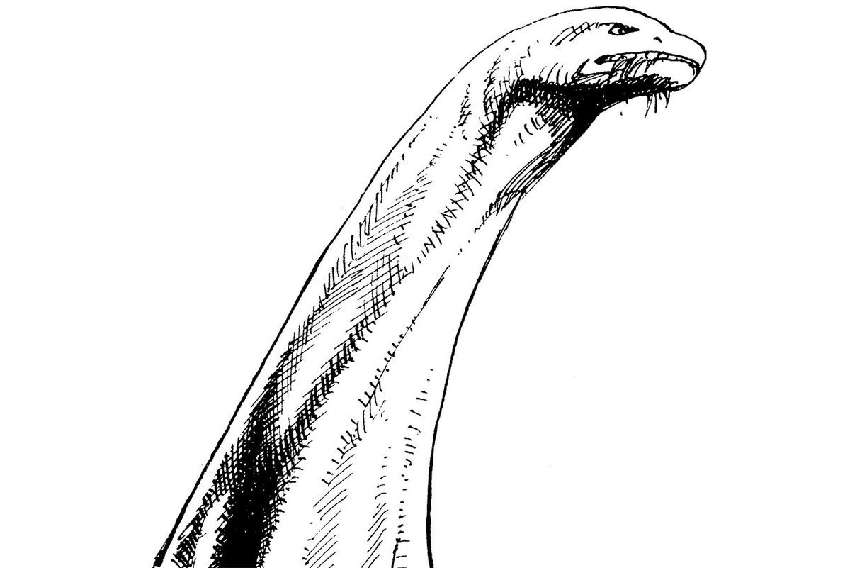 ブロントザウルス