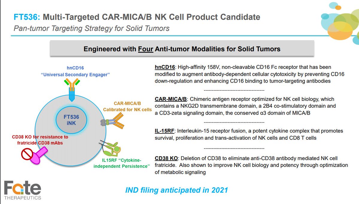 In 2021  $FATE will IND an NK cell designed to enhance antibody cytotoxicity in solid tumors. Again,  $AFMD is dose-escalating an EGFR targeted antibody right now, which is planned for NK cell combos.